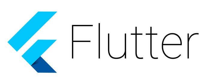 flutter google
