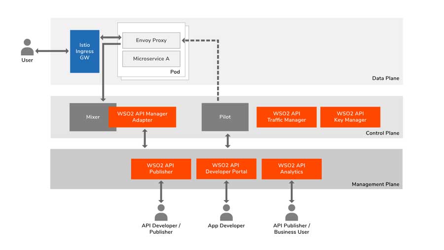 what is api manager