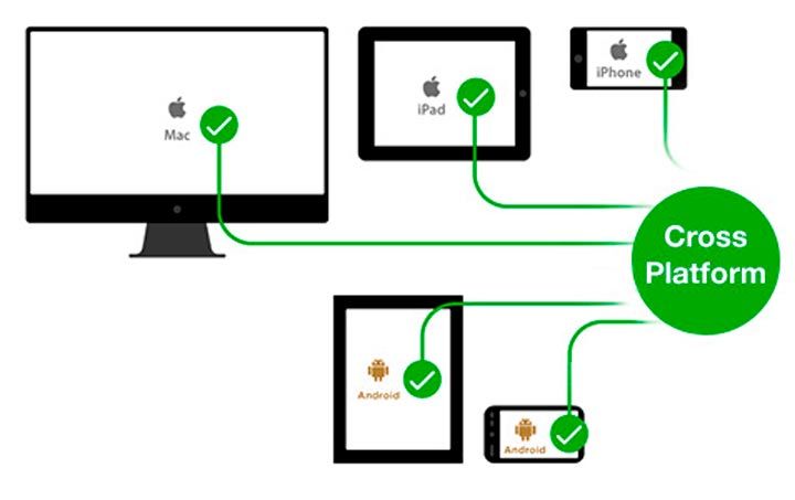 cross platform vs responsive vs native app