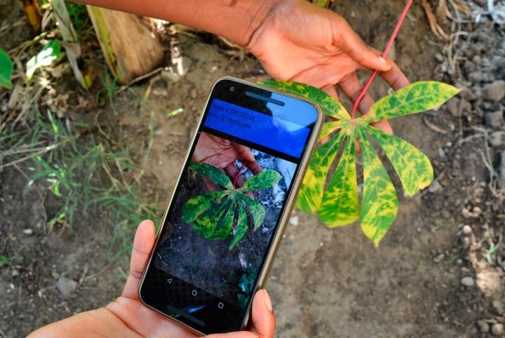 agriculture machine learning